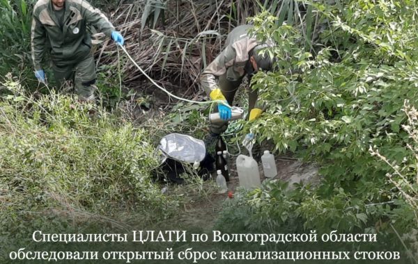 Специалисты ЦЛАТИ по Волгоградской области обследовали открытый сброс канализационных стоков в Вишневую балку.