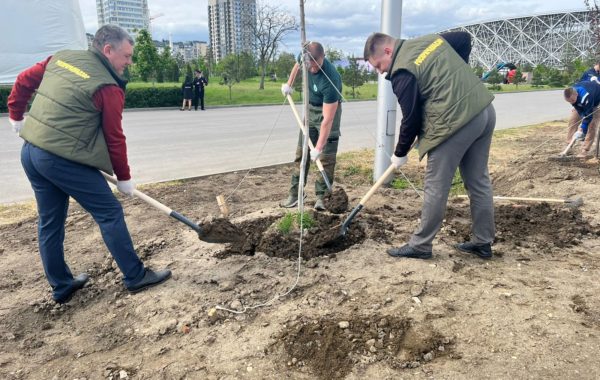 Сотрудники филиала ФГБУ ЦЛАТИ по Волгоградской области приняли участие в акции «Сад памяти»