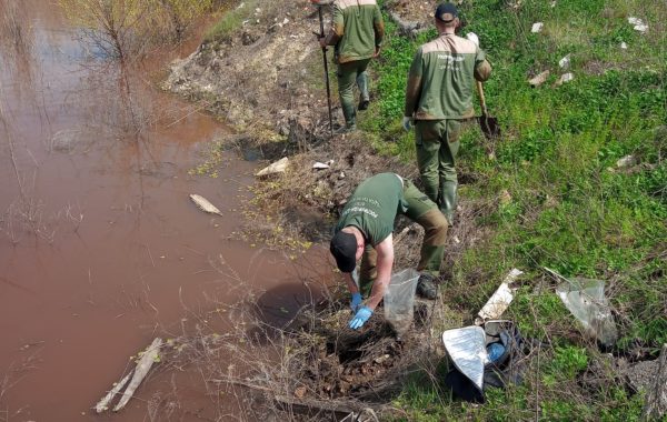 Специалисты филиала ЦЛАТИ по Волгоградской области приняли участие в выездном обследовании